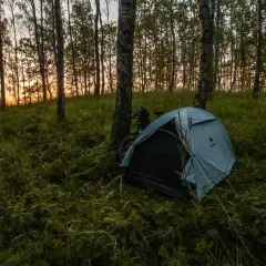 Biwak w lesie. Namiot rozbity wśród drzew, obok rower. Zachodzące słońce przebija się przez liście.
