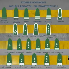 Stopnie wojskowe w lotnictwie i wojskach lądowych: od szeregowego do marszałka. Grafika przedstawia hierarchię rang.