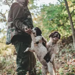 Myśliwy w lesie z dwoma psami. Jeden pies podaje łapę, jakby chciał pokazać swoją legitymację pzł.
