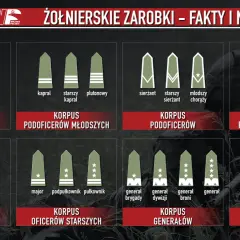 Grafika przedstawia stopnie wojskowe Wojska Polskiego, od szeregowego do Marszałka Polski, w tym stopnie podpułkowników.