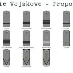 Ilustracja przedstawia propozycje stopni wojskowych, od szeregowego po pułkownika, z widocznymi dystynkcjami.