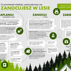 Planując nocleg w lesie, sprawdź, czy na łuk trzeba mieć pozwolenie. Zawsze planuj, nocuj i zabieraj z lasu tylko wspomnienia.