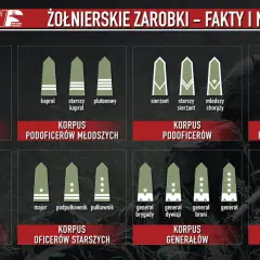 Grafika przedstawia stopnie wojskowe w Polsce, od szeregowego do Marszałka Polski, podzielone na korpusy.