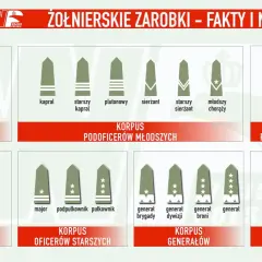 Grafika przedstawia stopnie w żandarmerii wojskowej, od szeregowego do Marszałka Polski, z podziałem na korpusy.