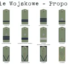 Ilustracja przedstawia różne stopnie wojskowe wojsk lądowych z oznaczeniami.