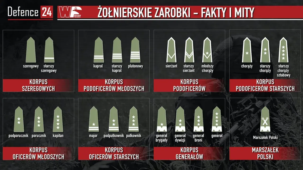 Grafika przedstawia stopnie wojskowe, od szeregowego do Marszałka Polski. Widoczny jest stopień plutonowy.