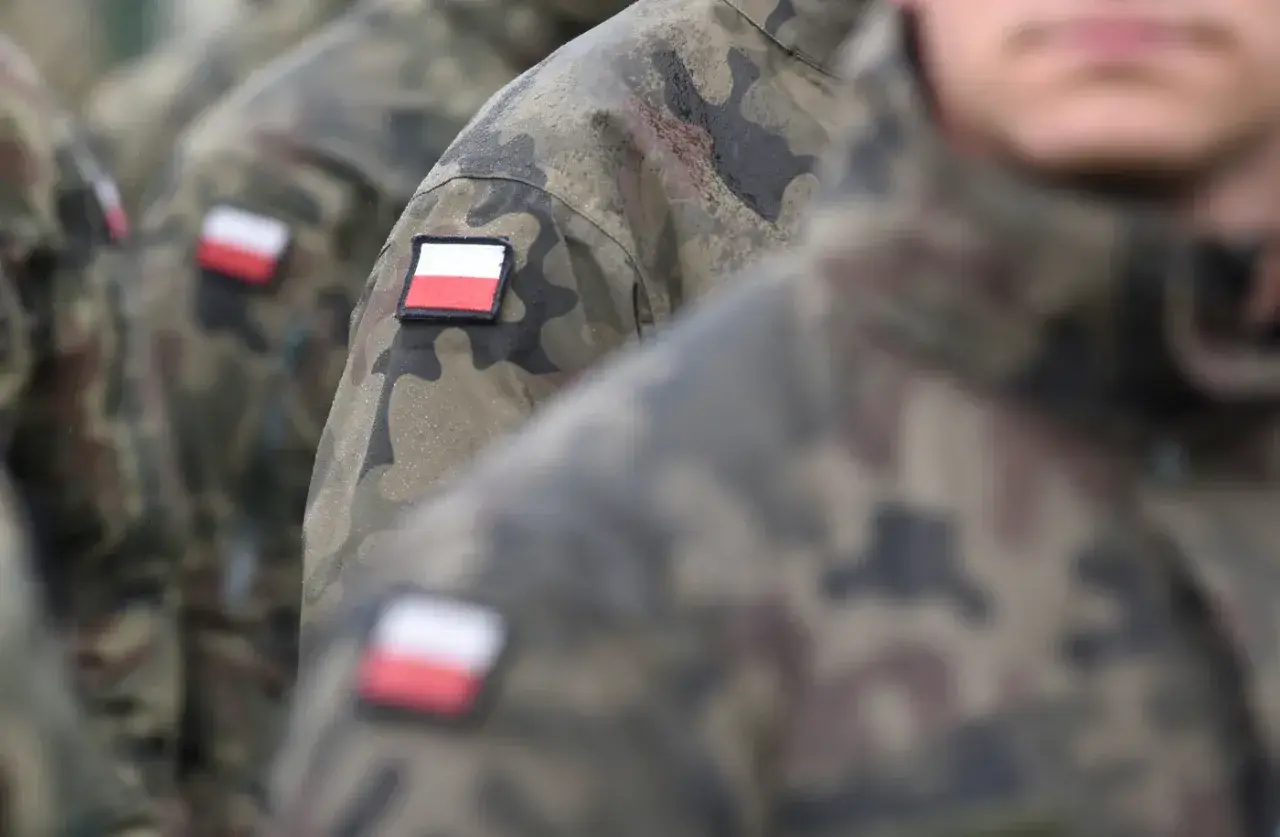 Żołnierze w mundurach moro, z polskimi flagami na ramionach, gotowi do akcji. Wojsko kategoria d.