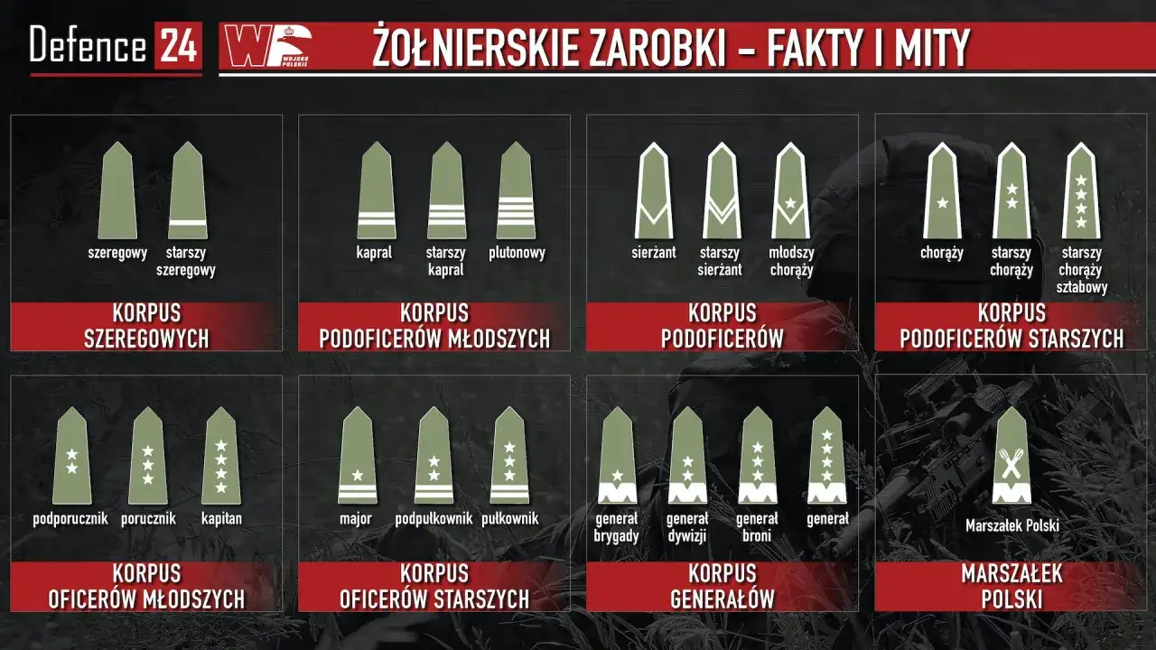 Grafika przedstawia stopnie wojskowe, od szeregowego do generała. Widać tam m.in. stopień kaprala w wojsku.