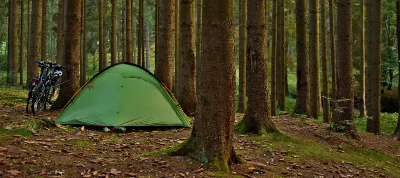 Zielony namiot i rowery czekają na przygodę. To idealne miejsce na biwak w lesie, wśród sosen.